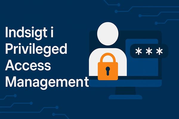 Indsigt i privileged access management